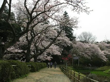 Chiba Eyaleti