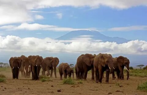 Taita – Taveta