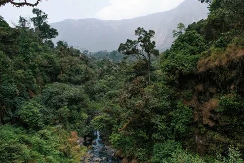 Kissidougou Eyaleti