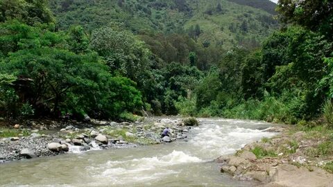 La Vega Eyaleti