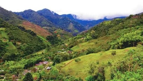 Valle del Cauca