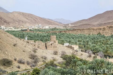 Ad Dakhiliyah