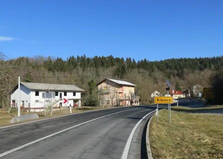 Ribnica na Pohorju Belediyesi