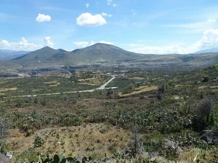 Ayacucho