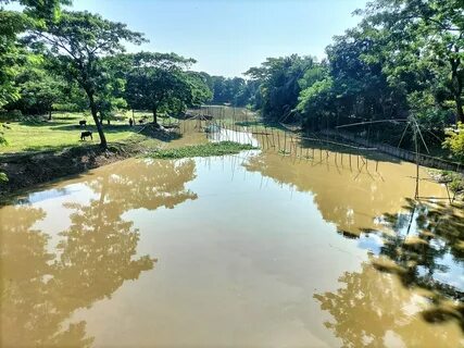 Netrokona Bölgesi