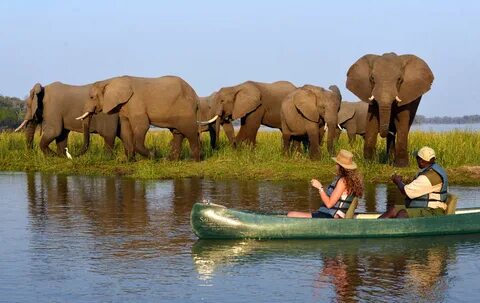 Zambezi Bölgesi