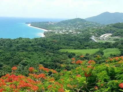 Yabucoa