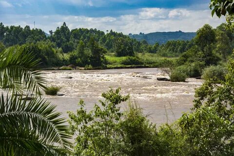 Trans Nzoia