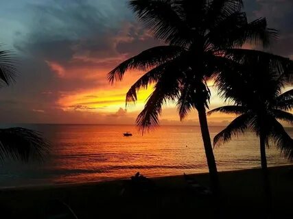 Aguadilla