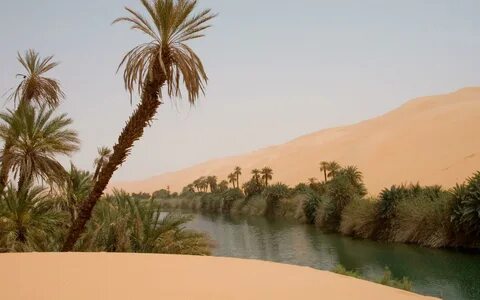 Wadi al Hayaa Bölgesi