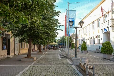 Bor İlçesi