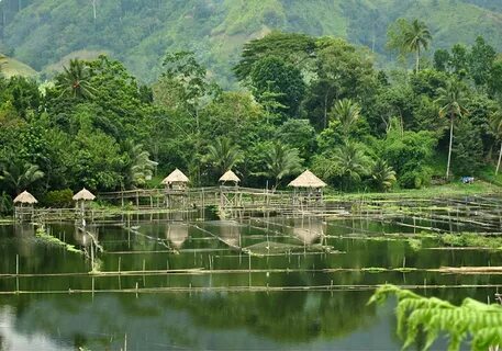 Güney Cotabato