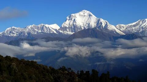 Dhaulagiri Bölgesi