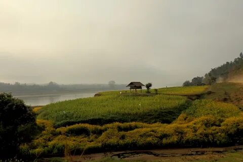 Sagaing Bölgesi