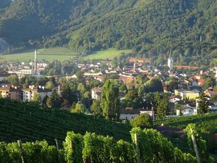 Slovenske Konjice Belediyesi