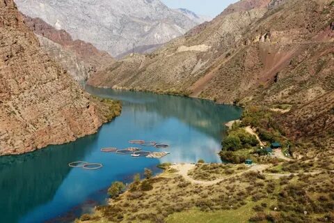 Naryn Bölgesi