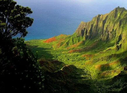Choiseul Eyaleti