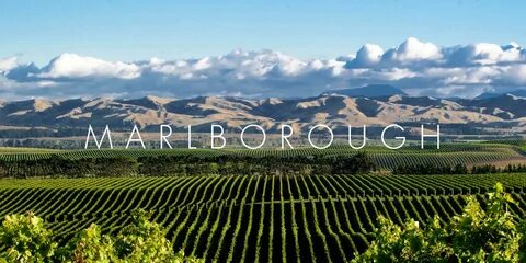 Marlborough Bölgesi