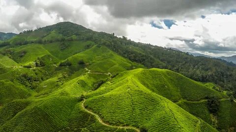 Pahang