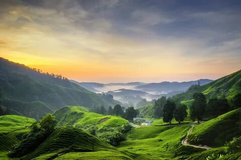 Pahang