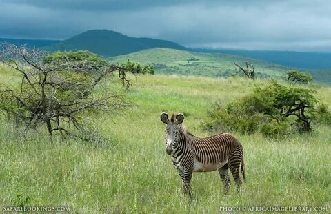 Laikipia