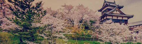 Nara İli