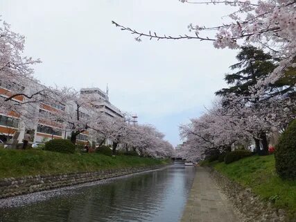 Toyama İli