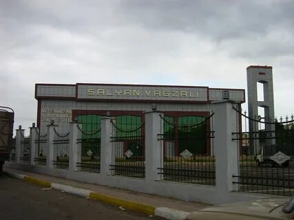 Salyan İlçesi