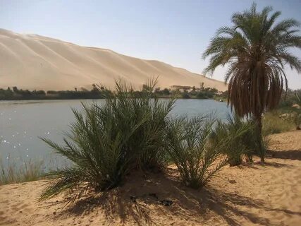 Wadi al Hayaa Bölgesi