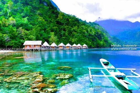 Maluku