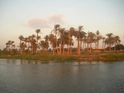 Beni Suef