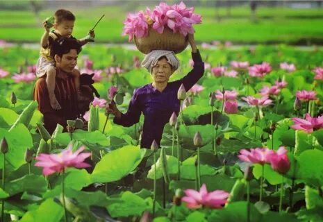 Quảng Nam