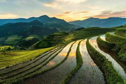 Đà Nẵng