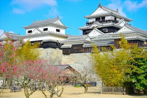 Ehime ili