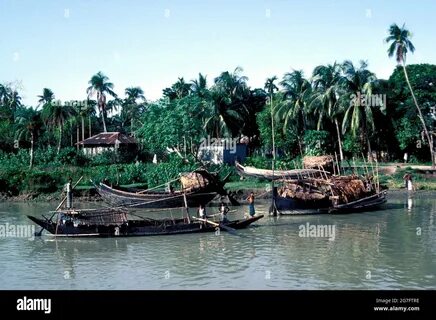 Lakshmipur Bölgesi