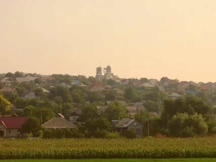 Anenii Noi Bölgesi