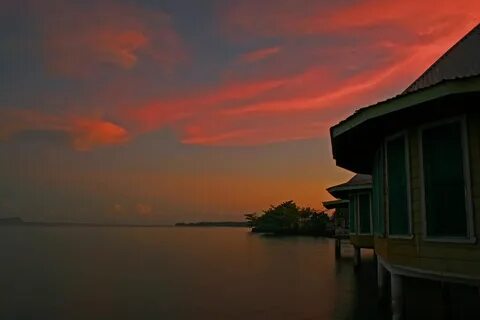 Fa'asaleleaga
