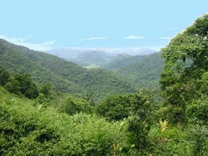 Praçin Buri