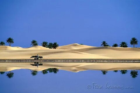 Ouargla