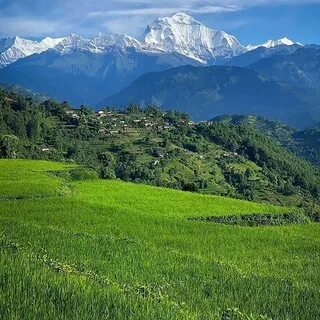 Bheri Bölgesi