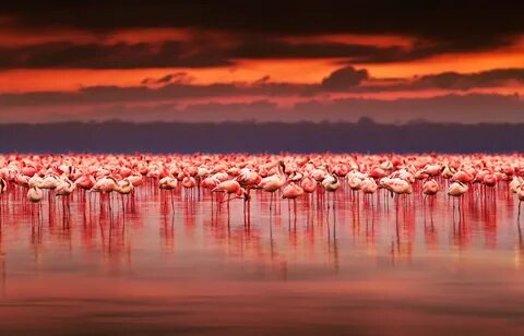 Nakuru