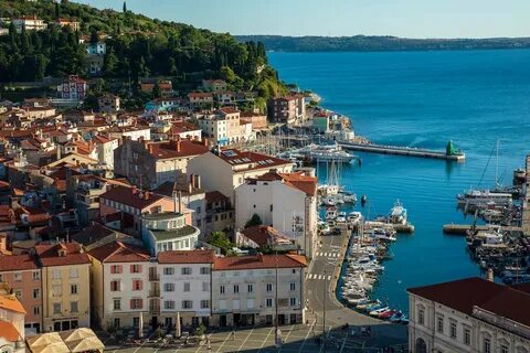 Piran Belediyesi