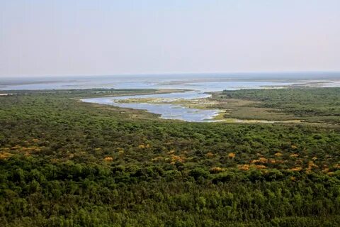 Chaco