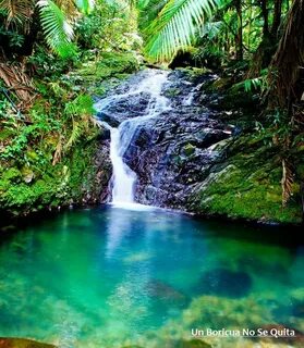 Jayuya
