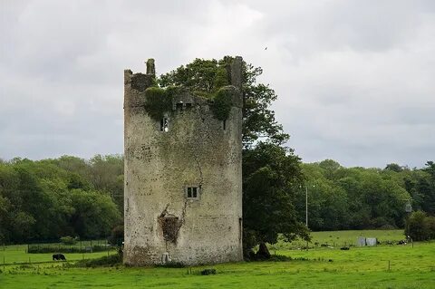 Leinster'da
