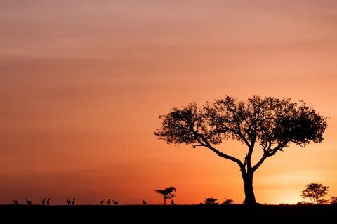 narok