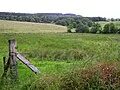 Fermanagh Bölge Konseyi