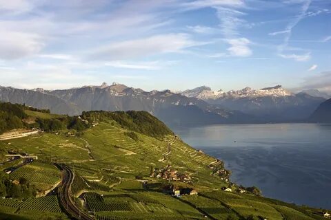 Vaud