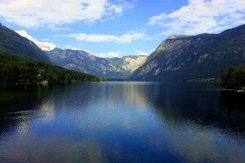 Bohinj Belediyesi