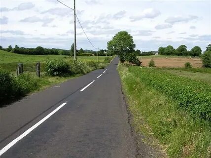 Coleraine İlçe Konseyi